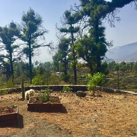 펜션 La Palma Wild