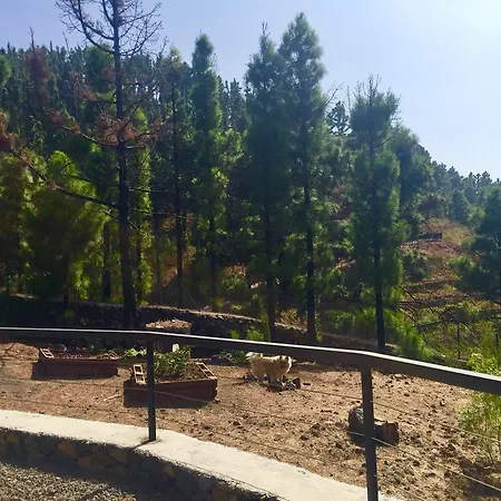 La Palma Wild 엘파소