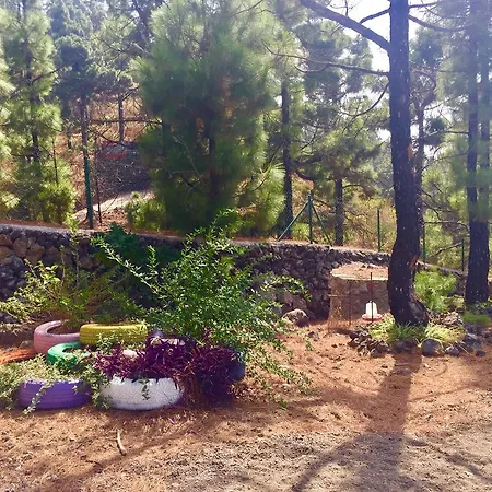 בית נופש La Palma Wild